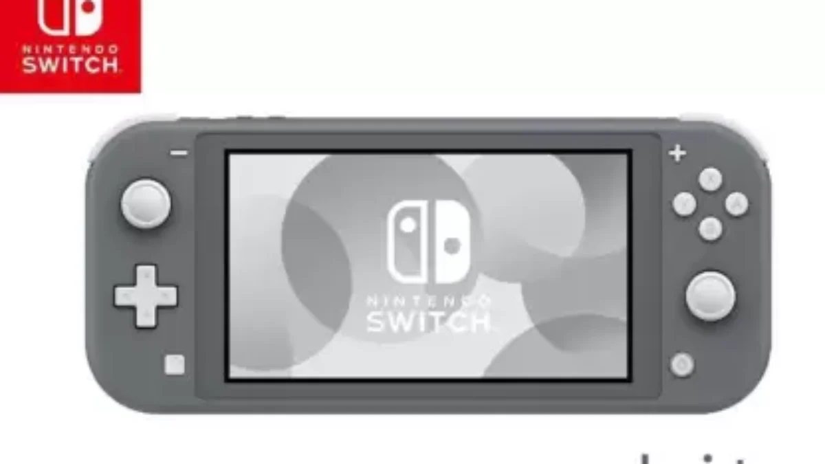 PAYKARS NINTENDO Switch Lite Grey 32 GB - sumitraenterprises